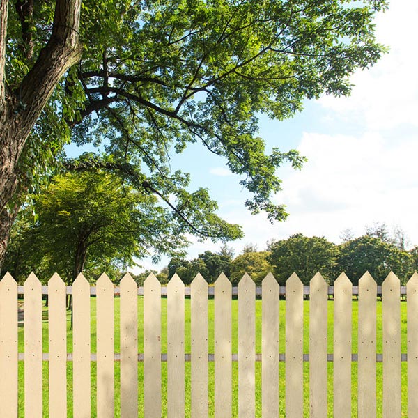 Fence Installation Options for Working Around Trees