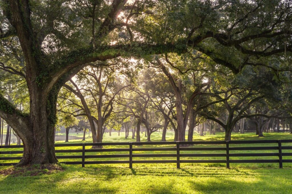 installing fences around trees in new jersey